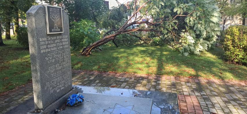 Настоящая стихия прошлась ночью по Бресту