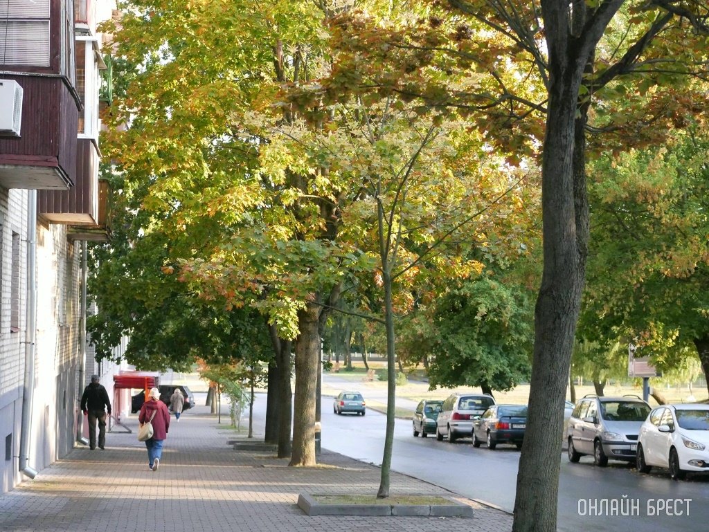 Белгидромет: в Беларуси с октября похолодает