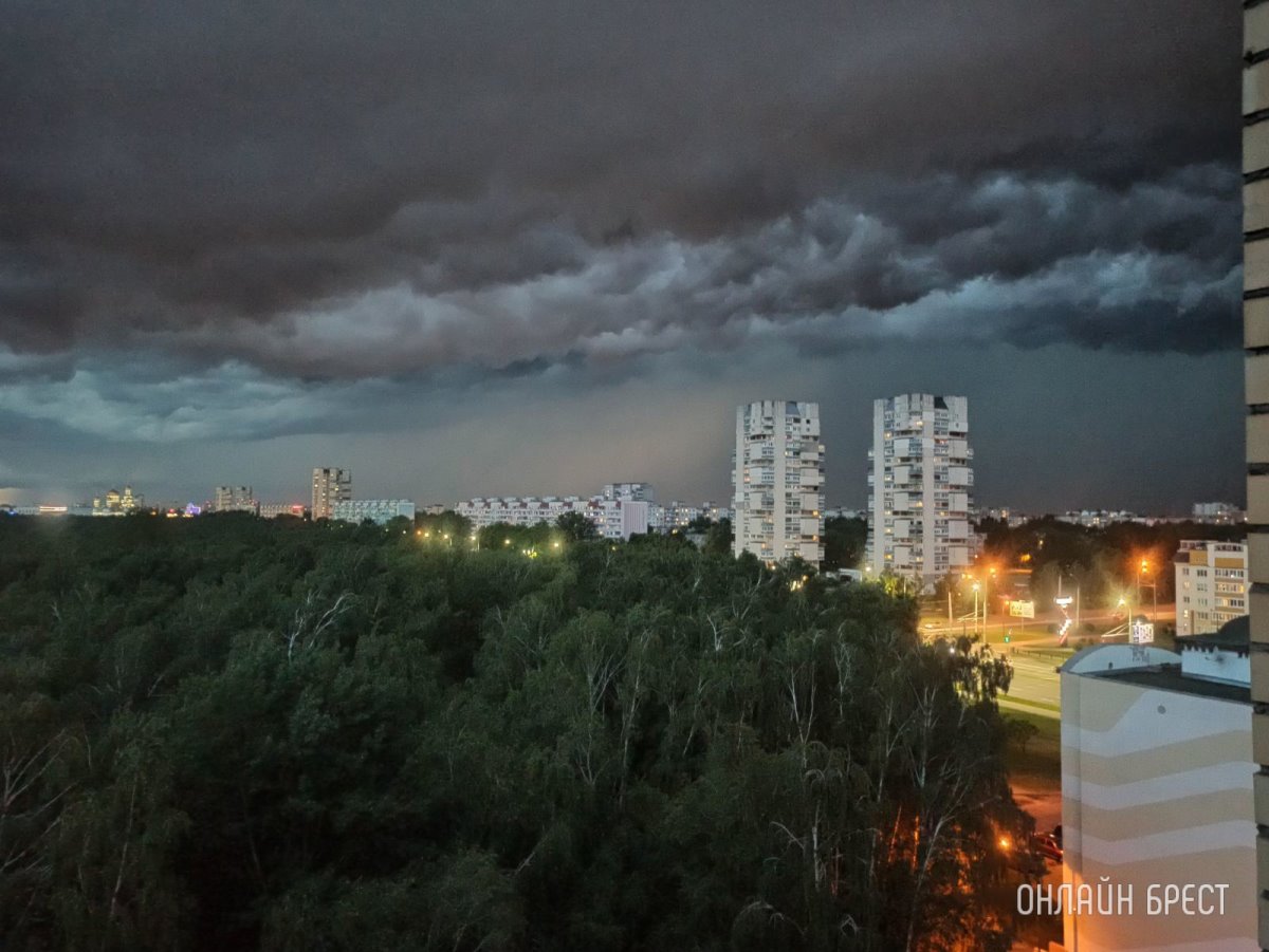 Синоптик рассказал, каким будет лето в Беларуси
