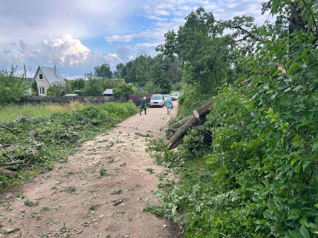Вследствие сильного ветра на территории Брестской области зафиксированы факты падения деревьев Вследствие сильного ветра на территории Брестской области зафиксированы факты падения деревьев