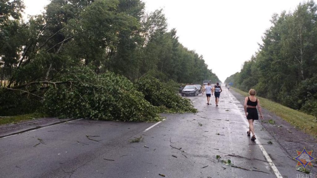 Что натворила непогода на Брестчине
