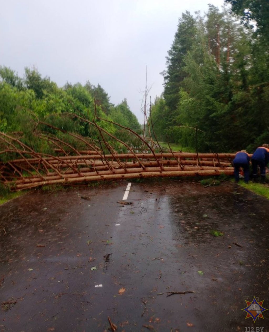 Что натворила непогода на Брестчине