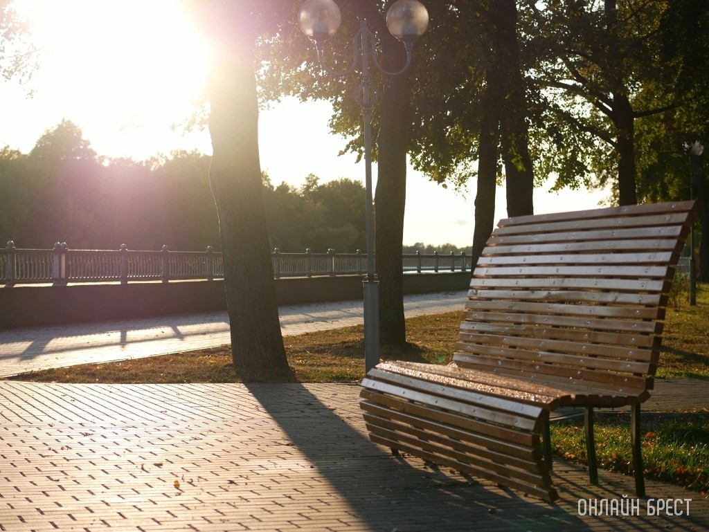 Синоптики рассказали, каким будет август в Беларуси