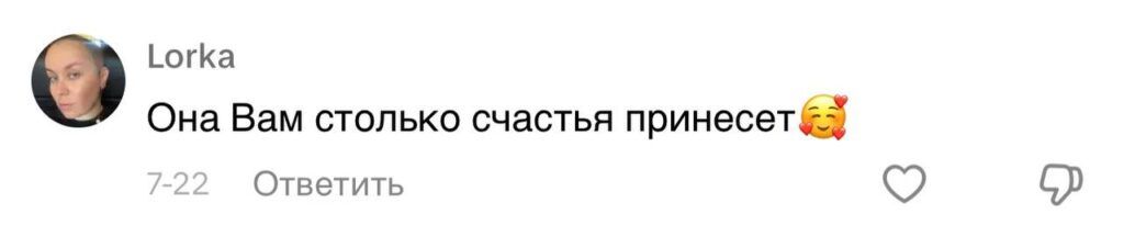 Парень подхватил самый добрый тренд TikTok и приютил дворняжку