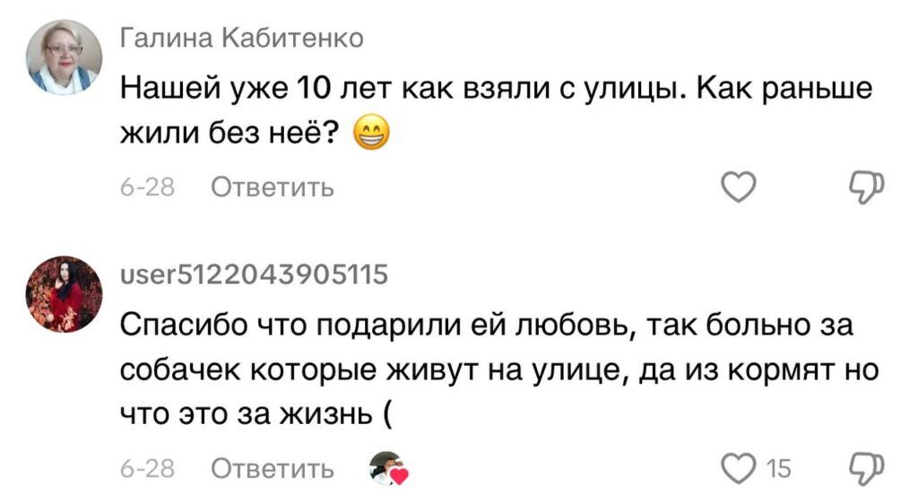 Парень подхватил самый добрый тренд TikTok и приютил дворняжку