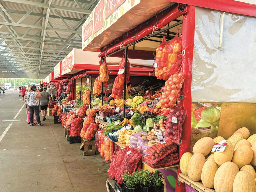 Белорусы собрали продуктовые корзины в Питере и Магадане и сравнили цены