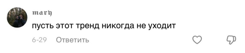 Парень подхватил самый добрый тренд TikTok и приютил дворняжку
