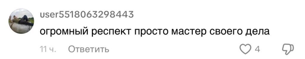 Регулировщик из Беларуси стал звездой интернета