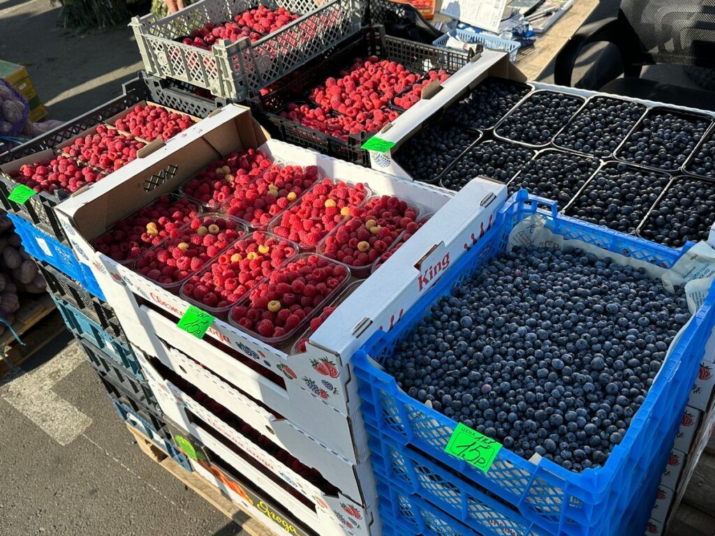 Белорусы собрали продуктовые корзины в Питере и Магадане и сравнили цены