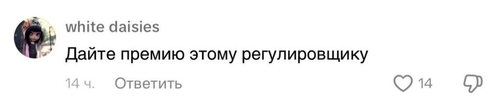 Регулировщик из Беларуси стал звездой интернета