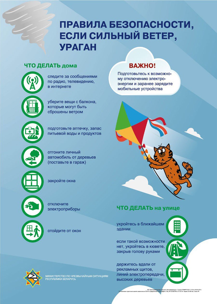 Выяснили, как много белорусов попросили страховку из-за летнего урагана