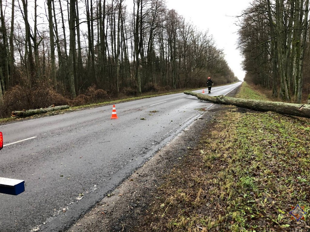 В Каменецком районе дерево упало на церковь