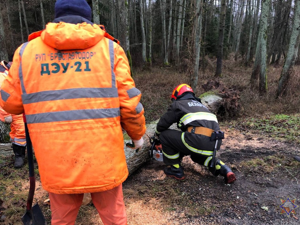 В Каменецком районе дерево упало на церковь